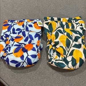 Pet Magasin Small Dog Reuseable Training Pampers in Fruit pattern